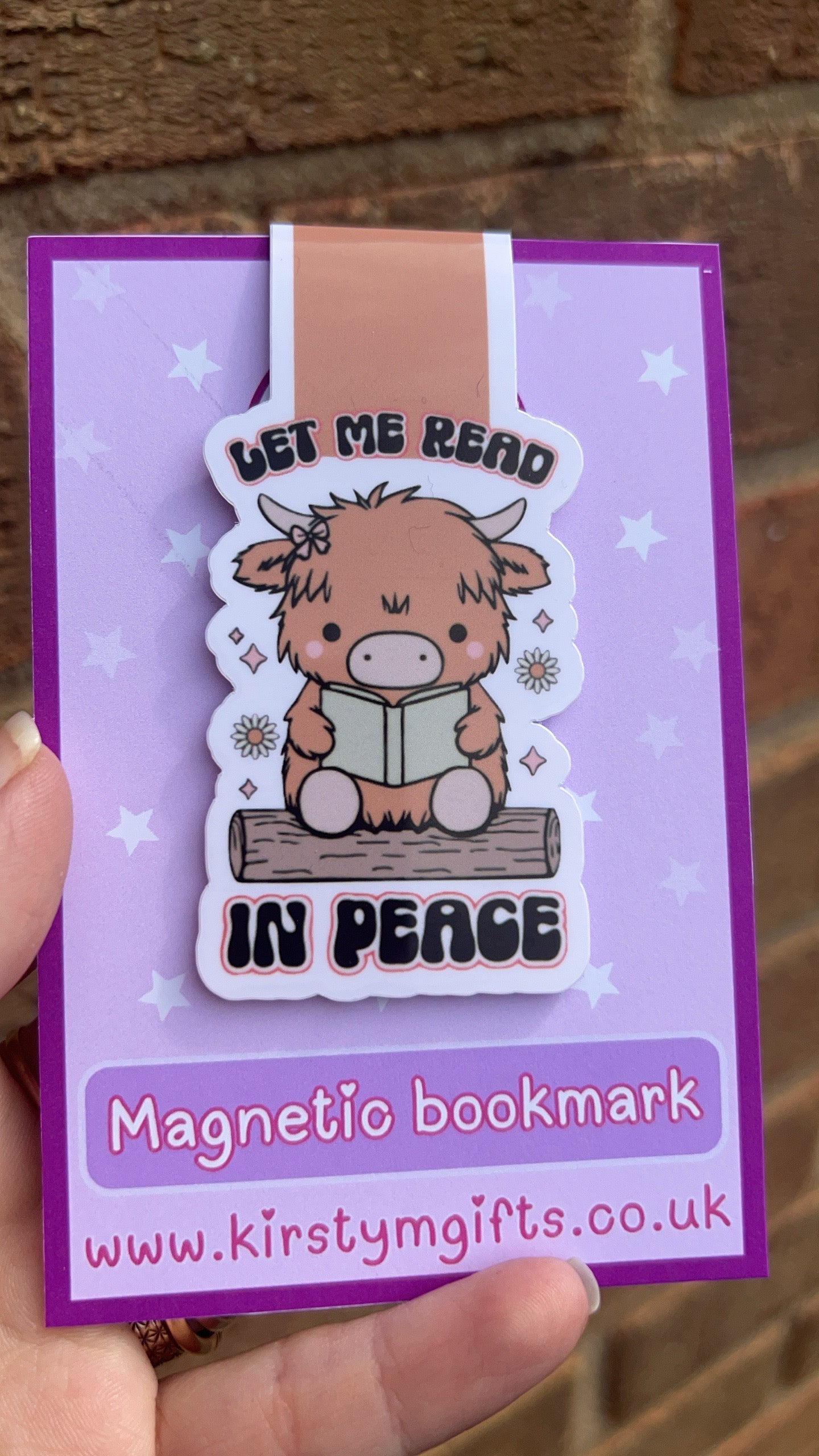 Magnetic Bookmarks